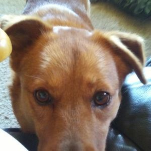 Meet your Posher, Annette